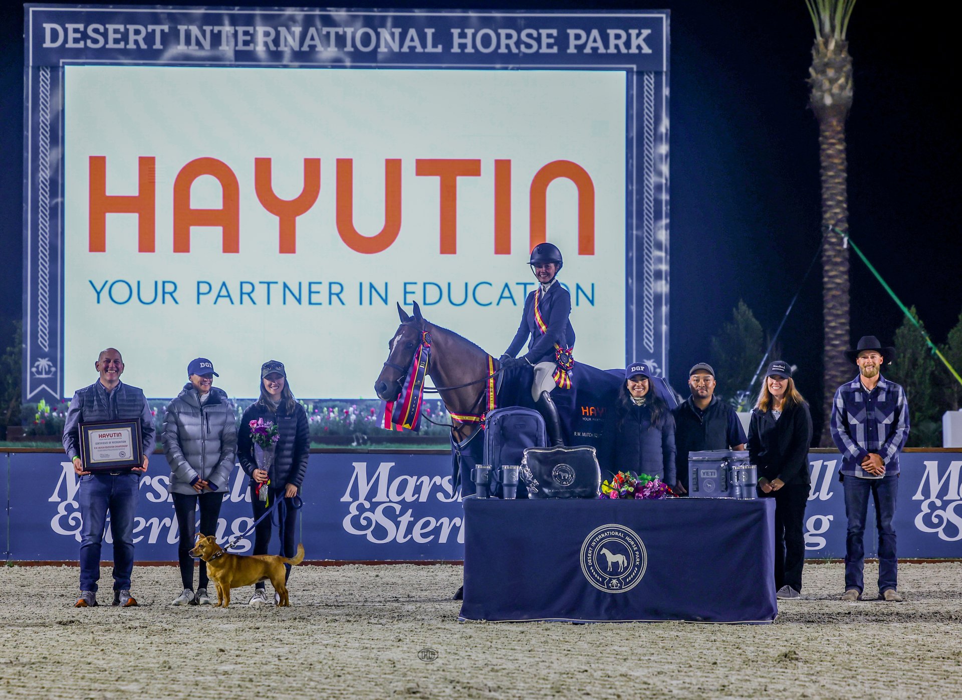 Official Education Sponsor at DIHP, 2024.